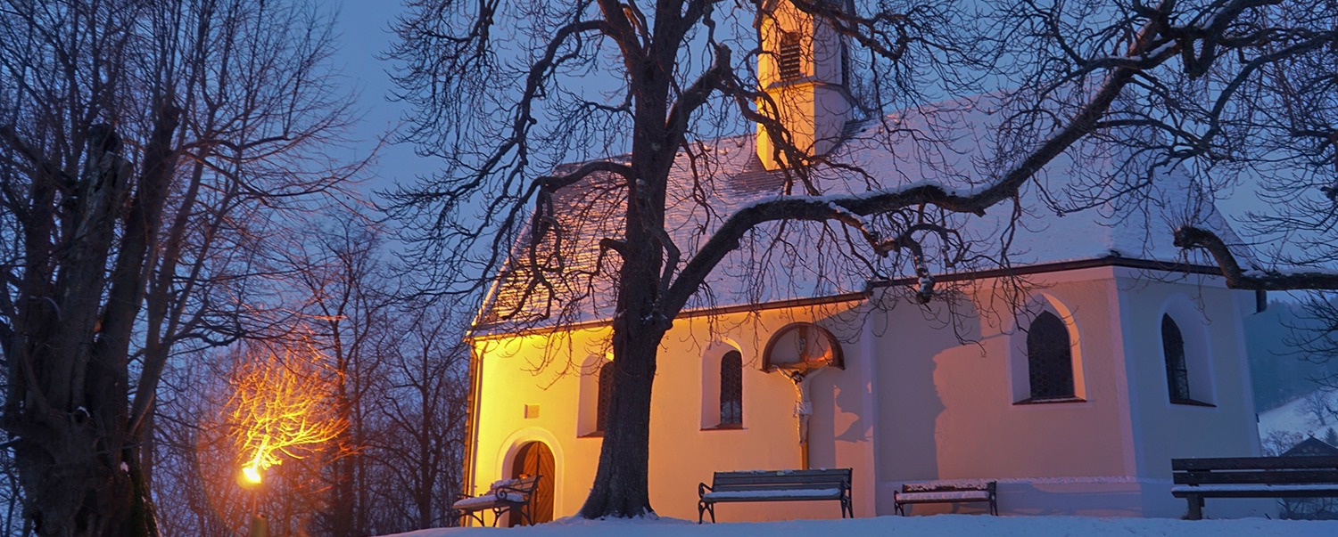 Aktivitäten Weinberg